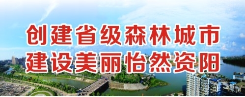 免费在线操B电影创建省级森林城市 建设美丽怡然资阳